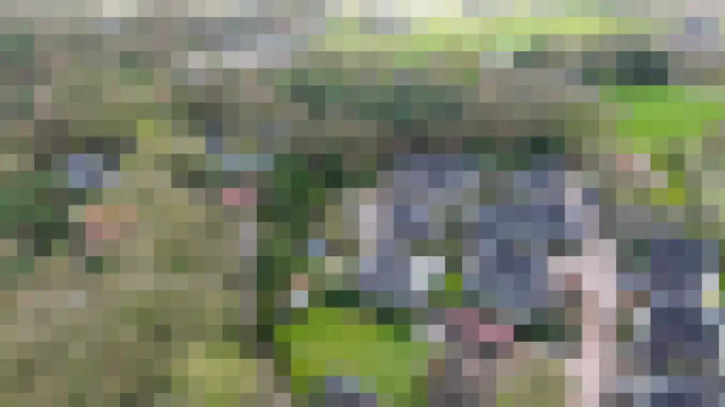 Allerboschweg 5 Ermelo thumbnail 45