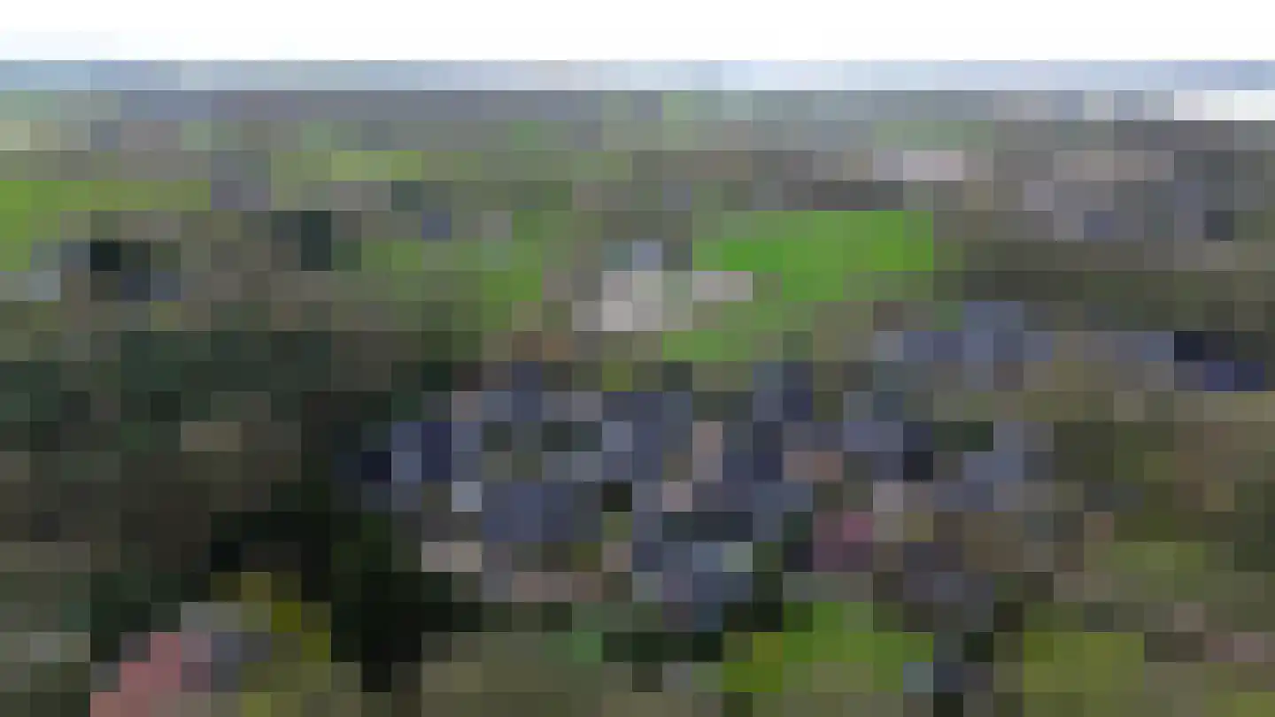 Allerboschweg 5 Ermelo thumbnail 46