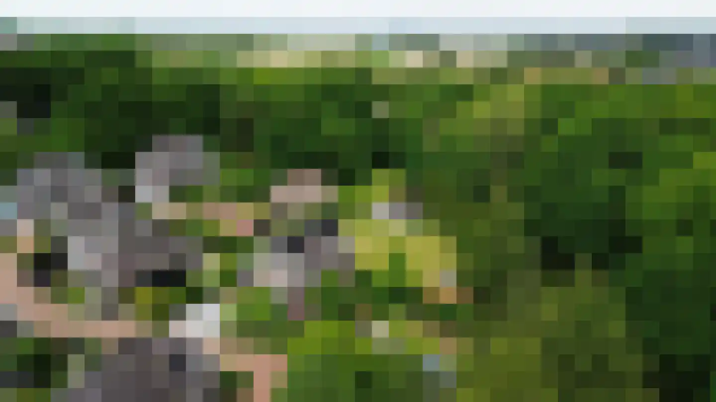 Allerboschweg 5 Ermelo thumbnail 46