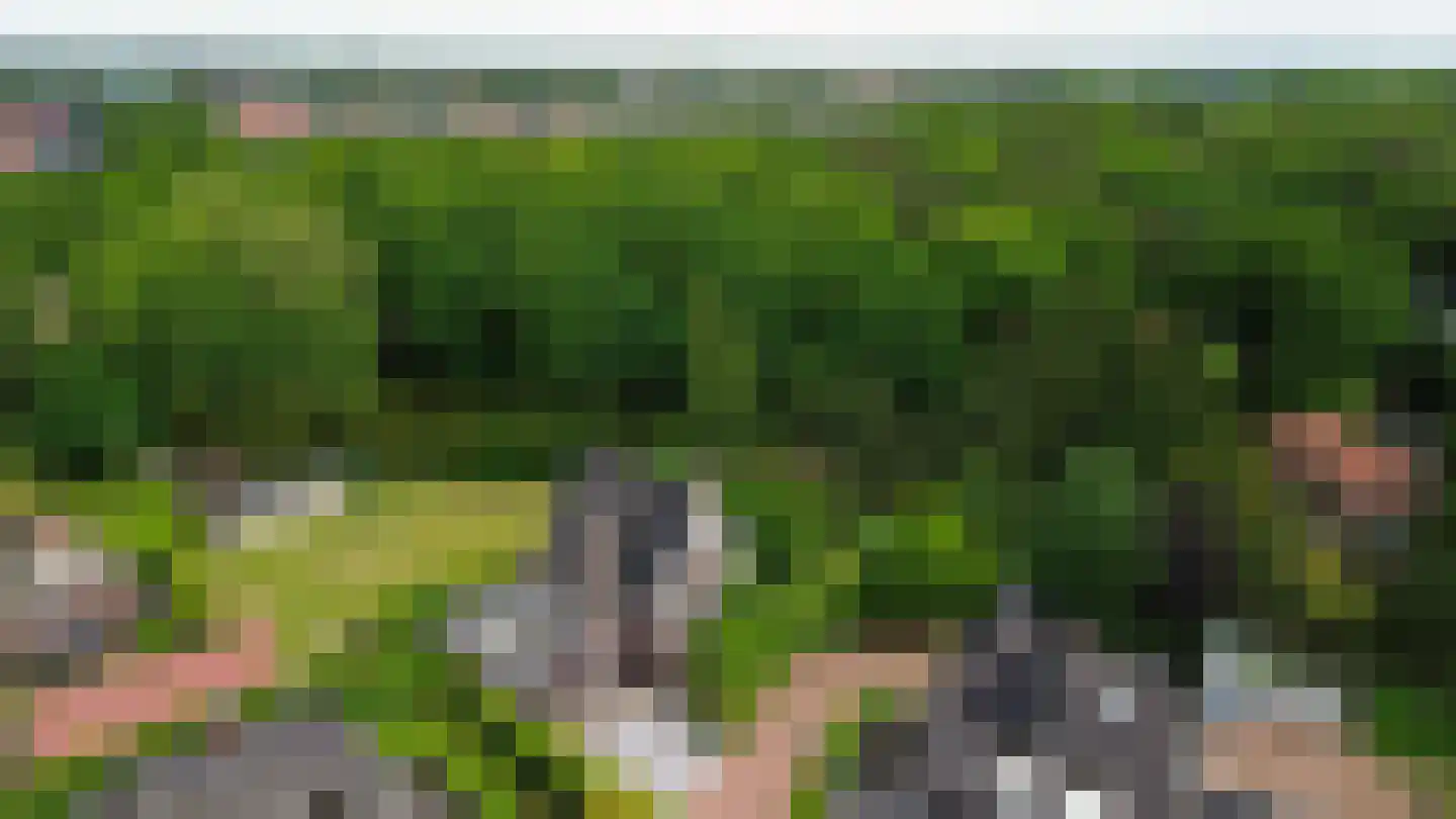 Allerboschweg 5 Ermelo thumbnail 47