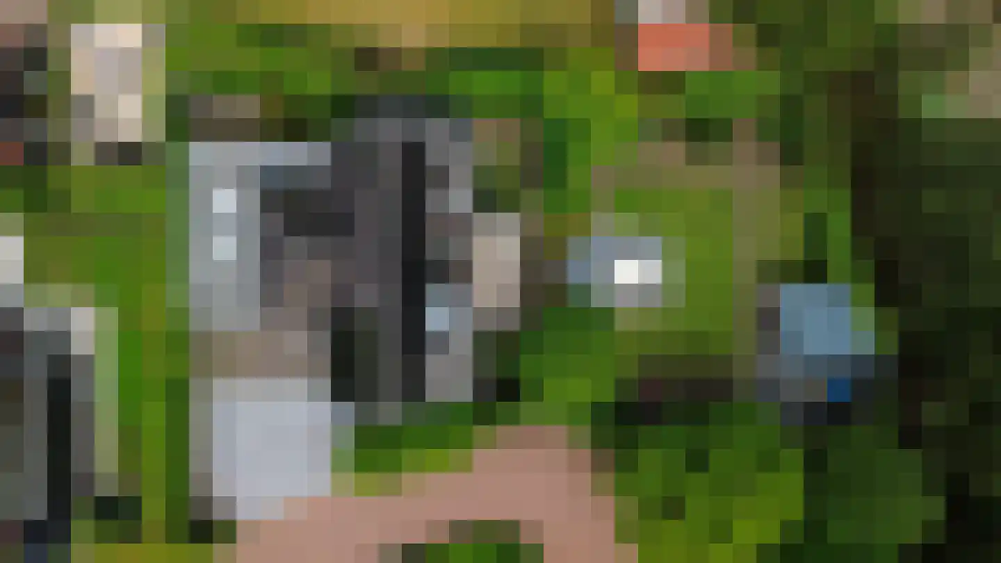 Allerboschweg 5 Ermelo thumbnail 48