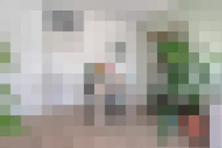 Allerheiligenweg 14 C Breda thumbnail 15