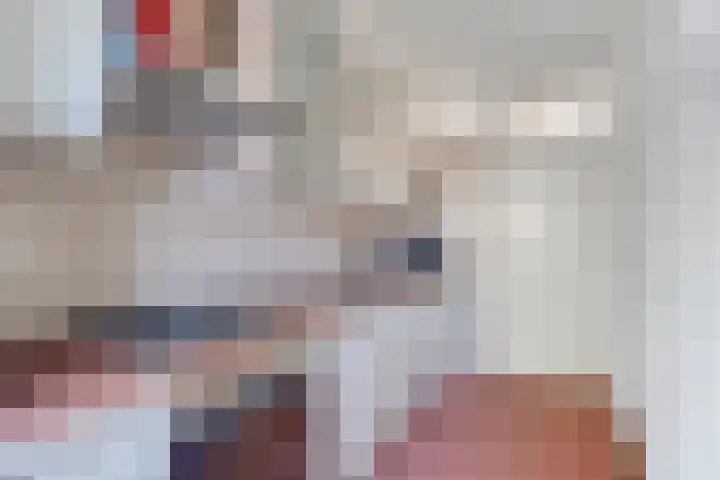 Allerheiligenweg 14 C Breda thumbnail 16