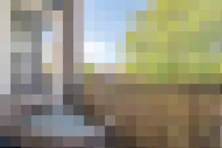 Allerheiligenweg 14 C Breda thumbnail 23