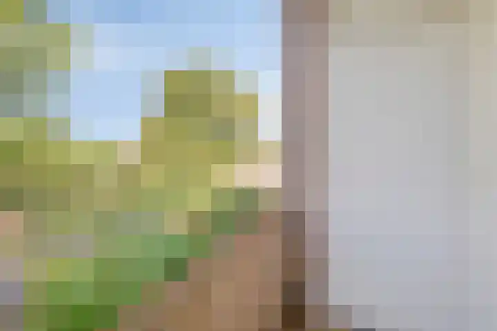 Allerheiligenweg 14 C Breda thumbnail 24
