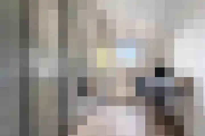 Allerheiligenweg 14 C Breda thumbnail 25