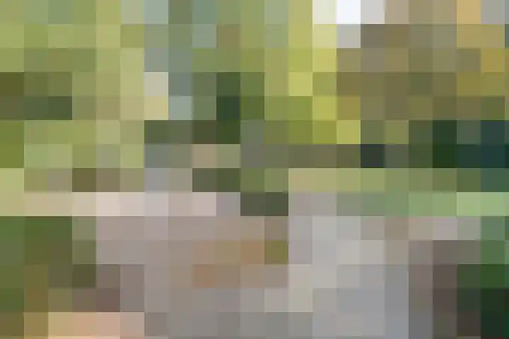 Allerheiligenweg 14 C Breda thumbnail 33