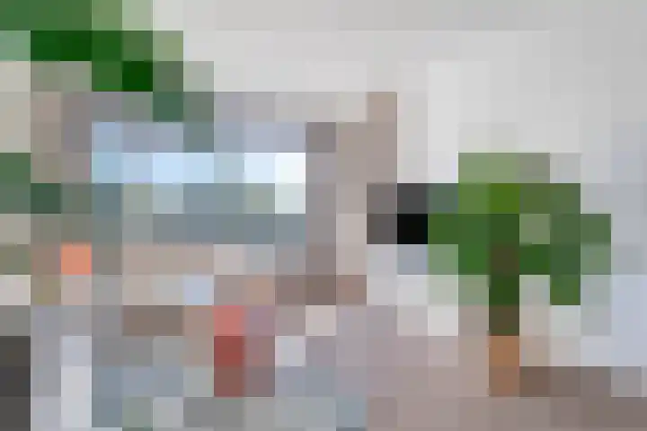 Allerheiligenweg 14 C Breda thumbnail 7