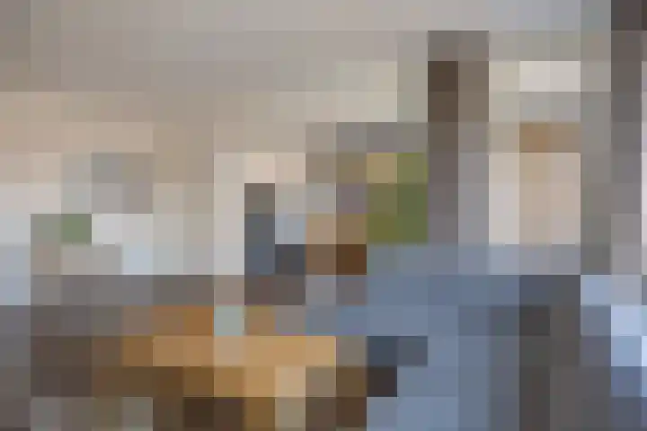 Allerheiligenweg 24 B Breda thumbnail 20