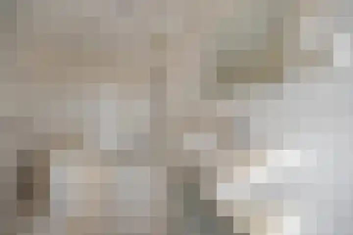Allerheiligenweg 24 B Breda thumbnail 34