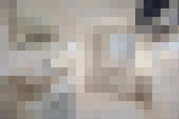 Allerheiligenweg 24 B Breda thumbnail 36