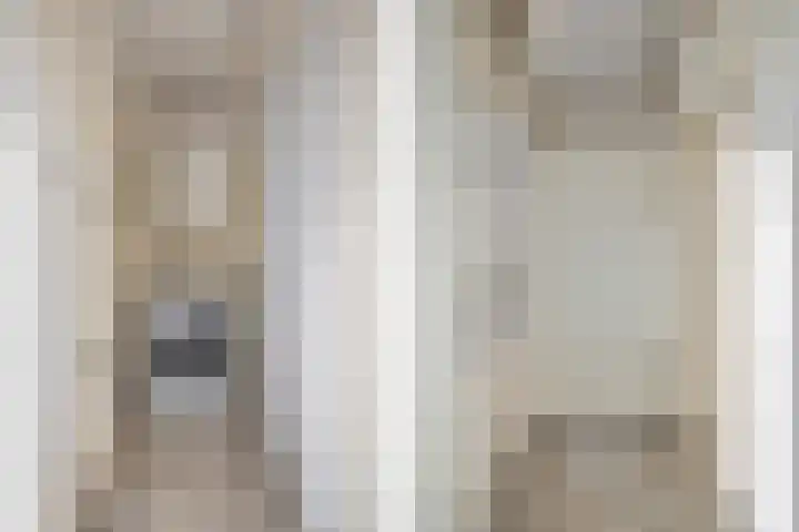Allerheiligenweg 24 B Breda thumbnail 37