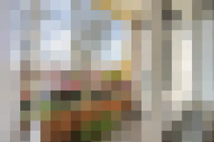 Allerheiligenweg 24 B Breda thumbnail 41