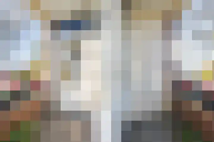 Allerheiligenweg 24 B Breda thumbnail 42