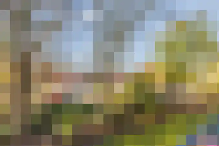 Allerheiligenweg 24 B Breda thumbnail 43