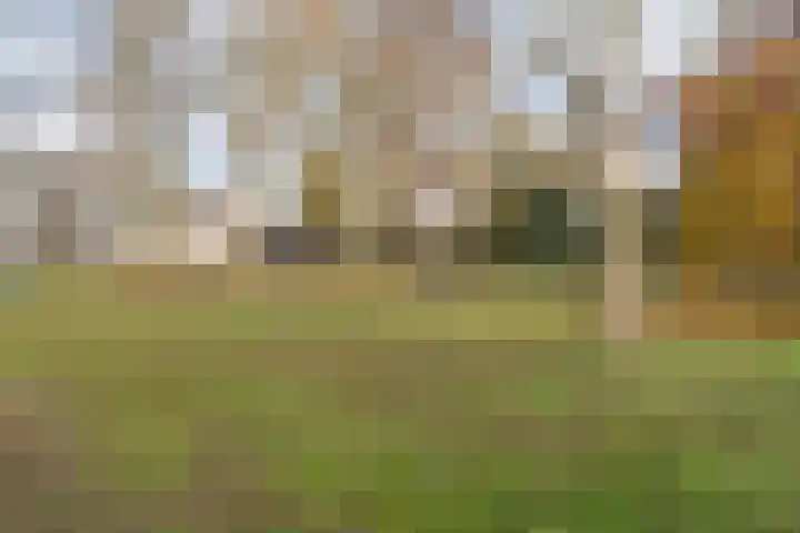 Allerheiligenweg 24 B Breda thumbnail 44
