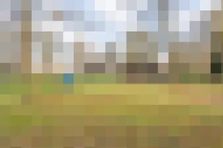Allerheiligenweg 24 B Breda thumbnail 45