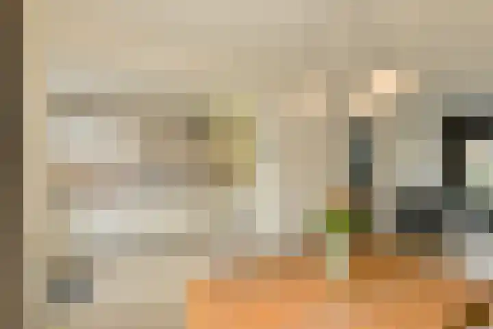Allerheiligenweg 25 Breda thumbnail 12