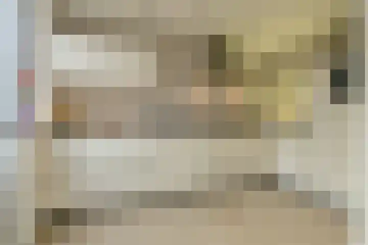 Allerheiligenweg 25 Breda thumbnail 13