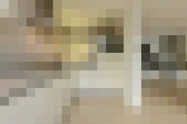 Allerheiligenweg 25 Breda thumbnail 14