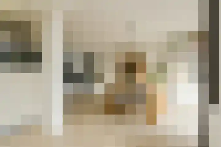 Allerheiligenweg 25 Breda thumbnail 16