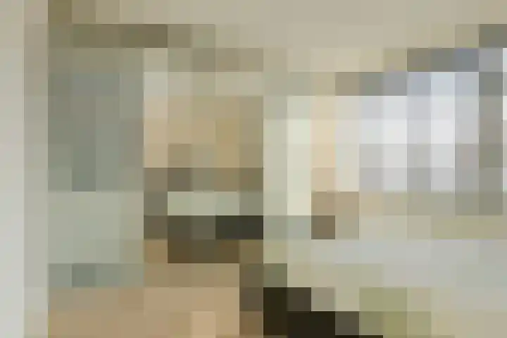 Allerheiligenweg 25 Breda thumbnail 20