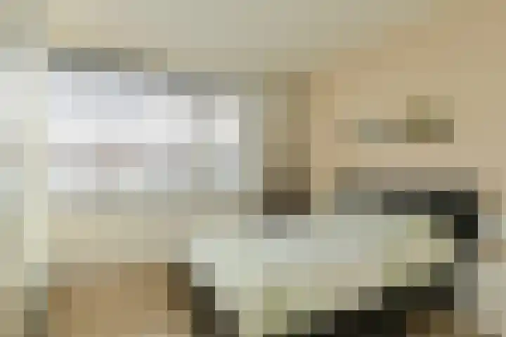Allerheiligenweg 25 Breda thumbnail 21