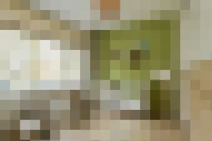 Allerheiligenweg 25 Breda thumbnail 25