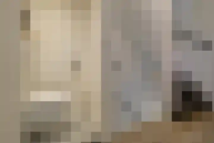 Allerheiligenweg 25 Breda thumbnail 31