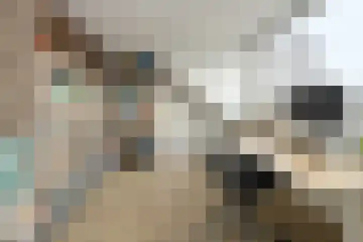 Allerheiligenweg 25 Breda thumbnail 33