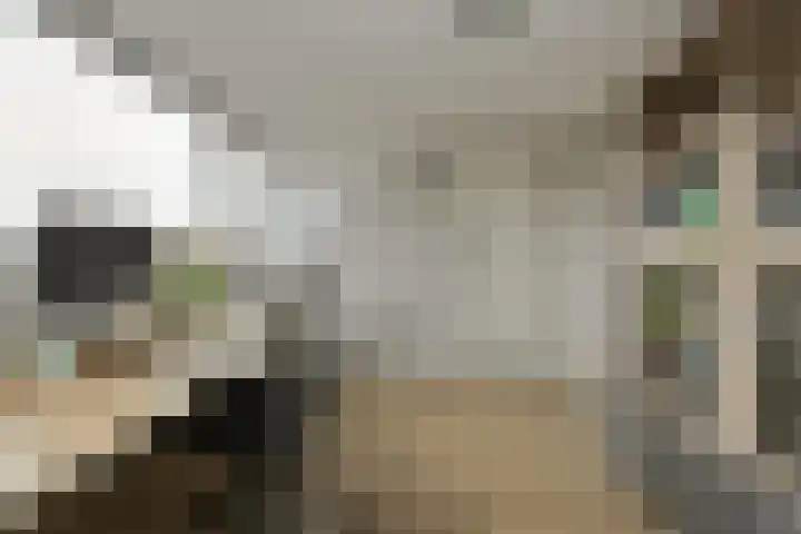 Allerheiligenweg 25 Breda thumbnail 35