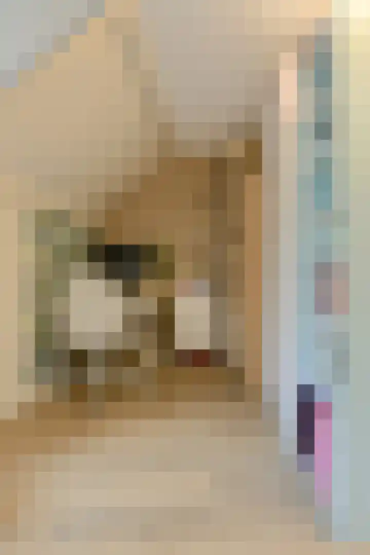 Allerheiligenweg 25 Breda thumbnail 38