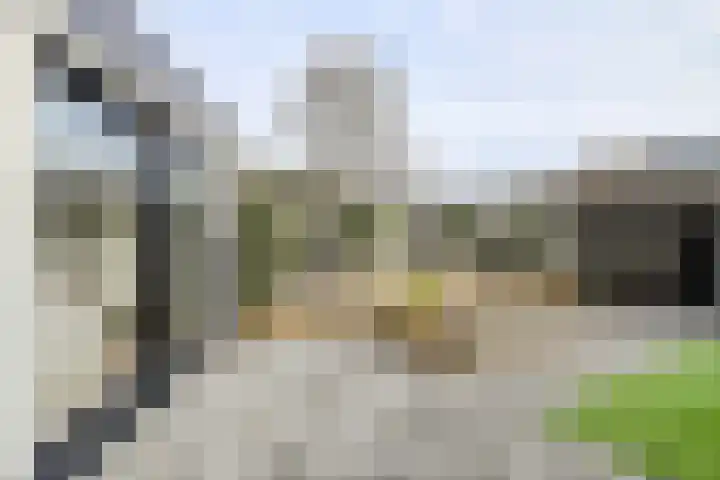 Allerheiligenweg 25 Breda thumbnail 41