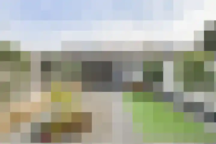 Allerheiligenweg 25 Breda thumbnail 46