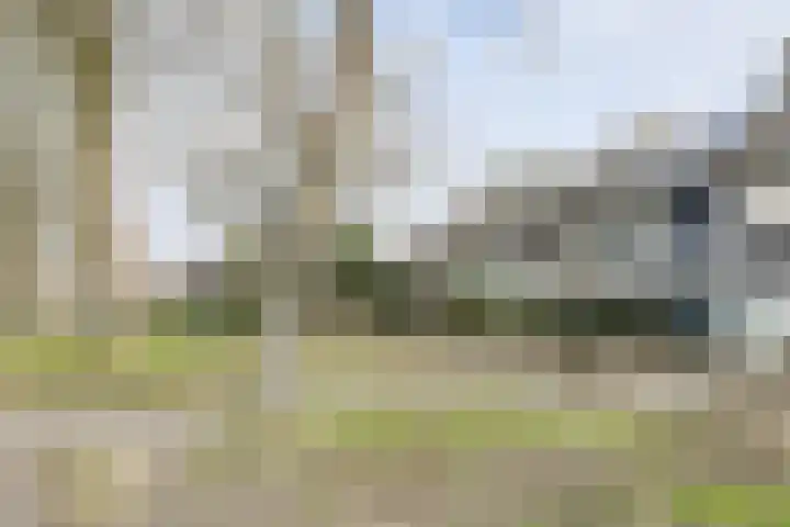 Allerheiligenweg 25 Breda thumbnail 47