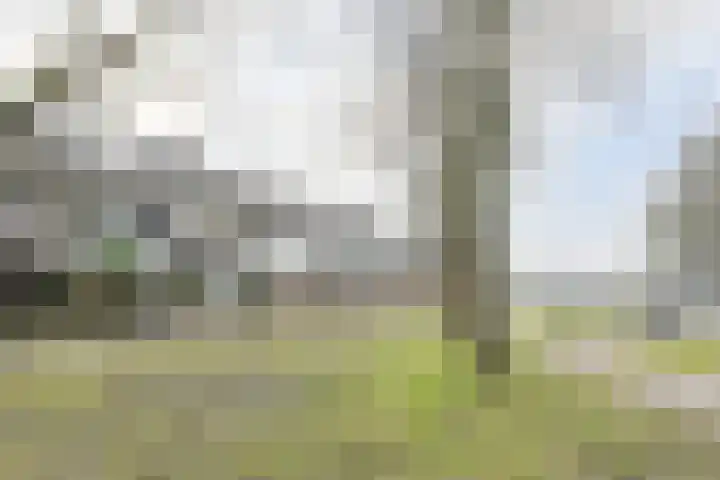 Allerheiligenweg 25 Breda thumbnail 49