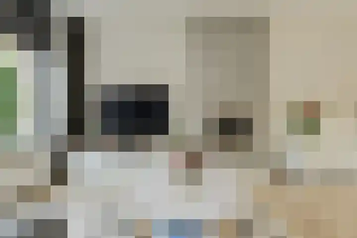 Allerheiligenweg 25 Breda thumbnail 6