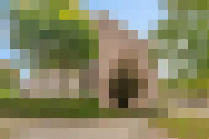 Allerheiligenweg 28 C Breda thumbnail 16