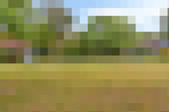 Allerheiligenweg 28 C Breda thumbnail 17