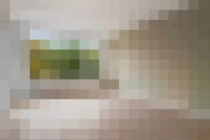 Allerheiligenweg 28 C Breda thumbnail 6