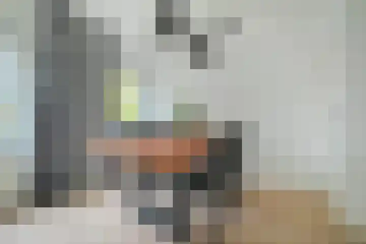Allerheiligenweg 30 A Breda thumbnail 11