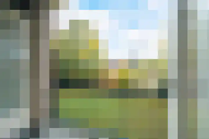 Allerheiligenweg 30 A Breda thumbnail 18