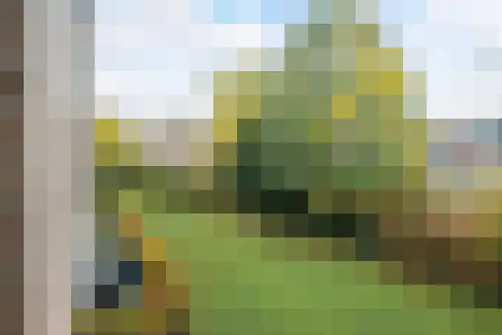 Allerheiligenweg 30 A Breda thumbnail 23