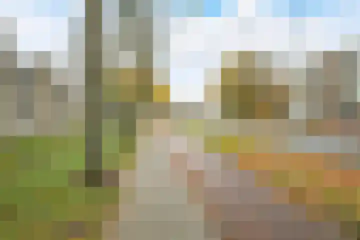 Allerheiligenweg 30 A Breda thumbnail 24