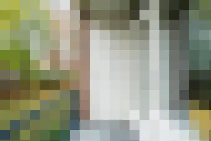 Allerheiligenweg 30 A Breda thumbnail 5