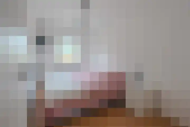 Allerheiligenweg 40 B Breda thumbnail 13