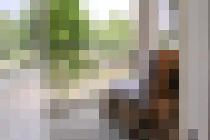 Allerheiligenweg 40 B Breda thumbnail 18
