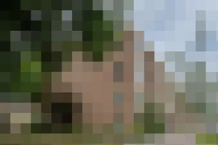 Allerheiligenweg 40 B Breda thumbnail 19