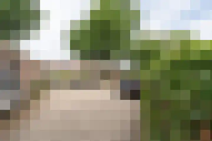 Allerheiligenweg 40 B Breda thumbnail 20