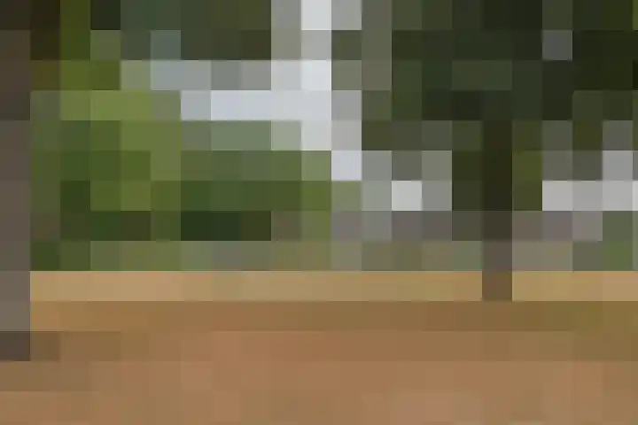 Allerheiligenweg 40 B Breda thumbnail 21